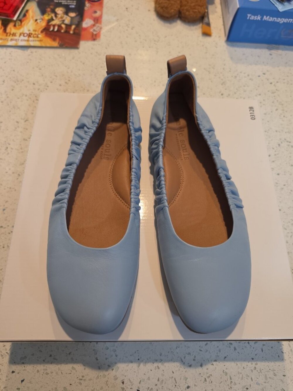 Gentle Souls by Kenneth Cole Mavis Leather Ballet Flats — US 11